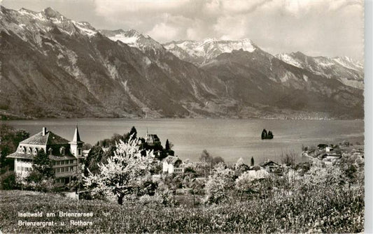 13961030 Iseltwald_BE au bord du lac de Brienz Brienzergrat et Rothorn