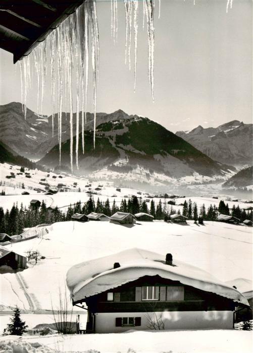 13961108 Schoenried_Gstaad_BE Panorama