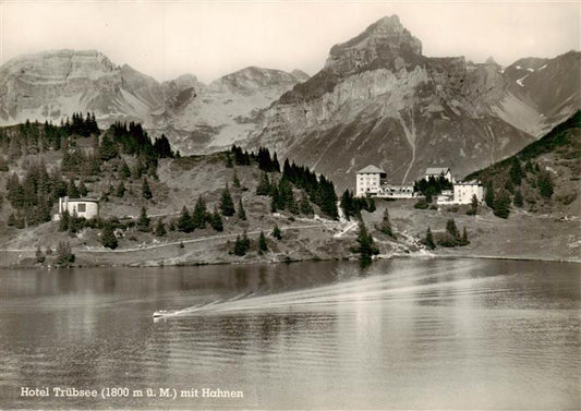 13961810 Truebsee_OW Hôtel Truebsee avec coqs