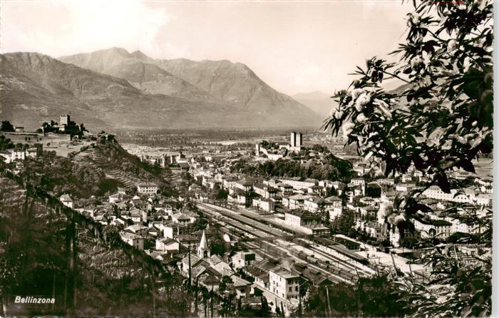 13955522 Bellinzona_TI Panorama